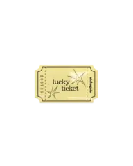 объемный стикер LUCKY TICKET