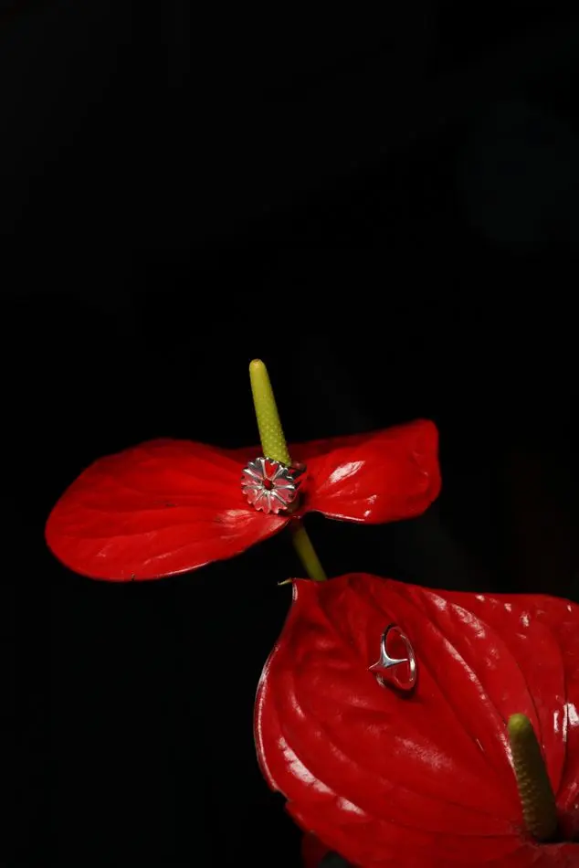 кольцо-печатка FLOVER с красной эмалью