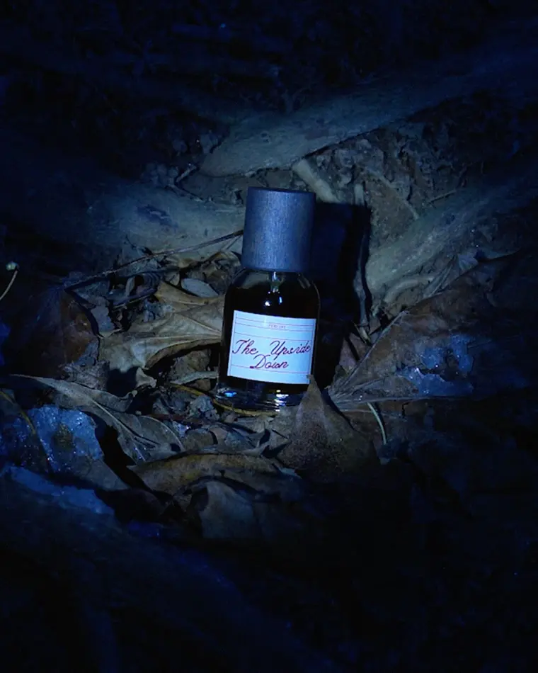 wood moss парфюм the upside down (30 мл)