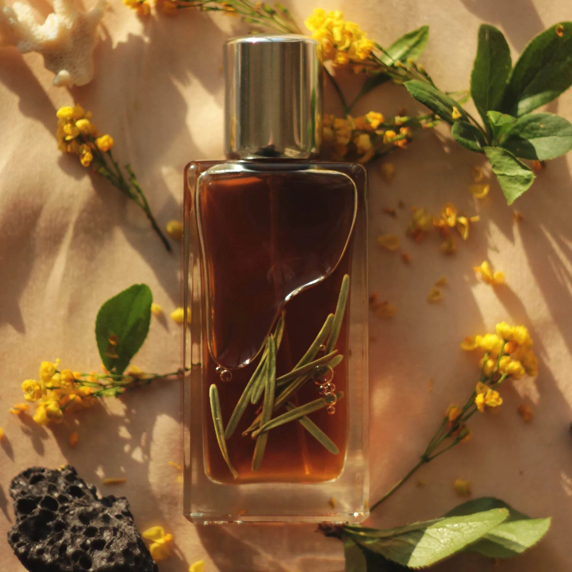 wood moss парфюм topol' (30 мл)