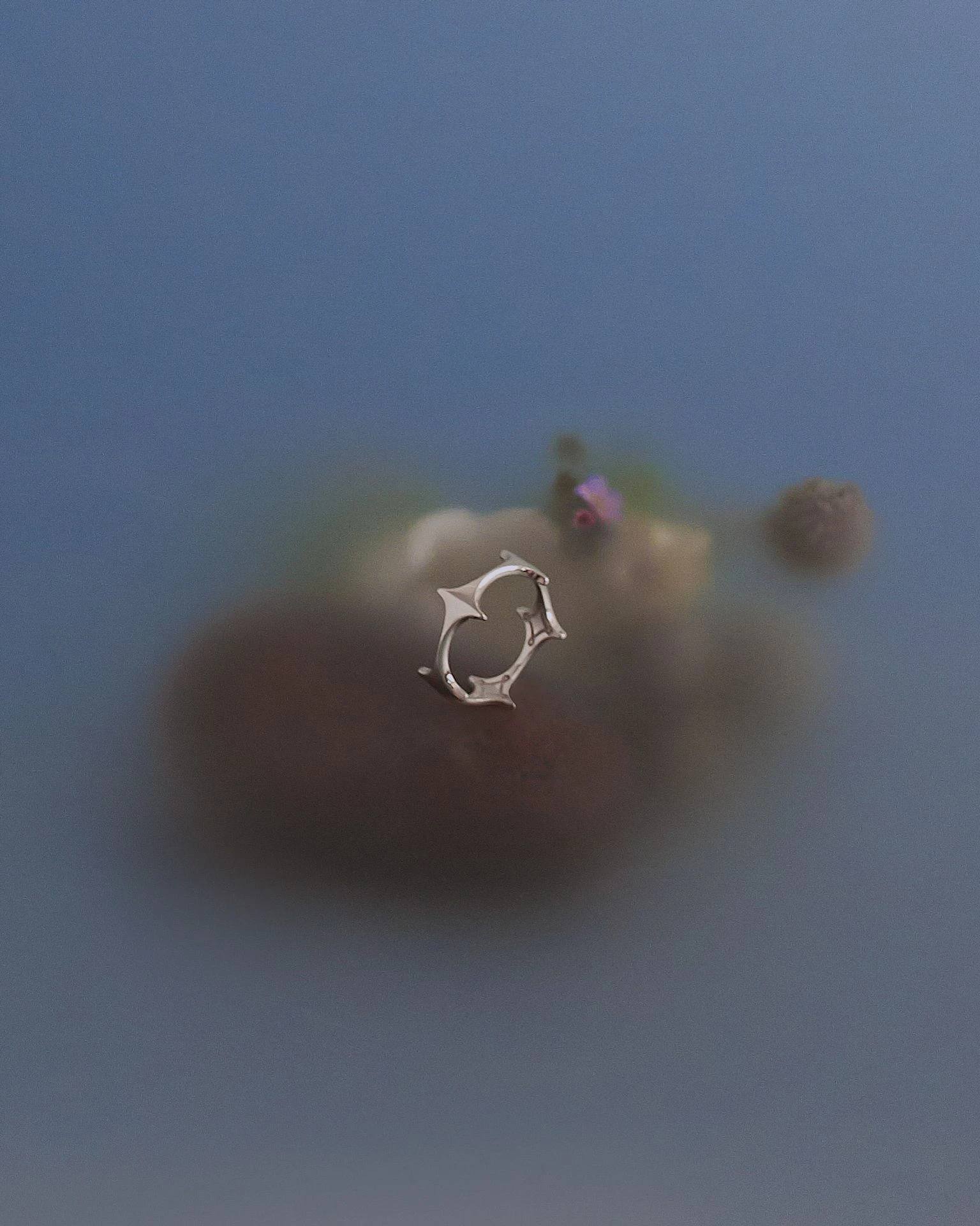 кольцо viz mar