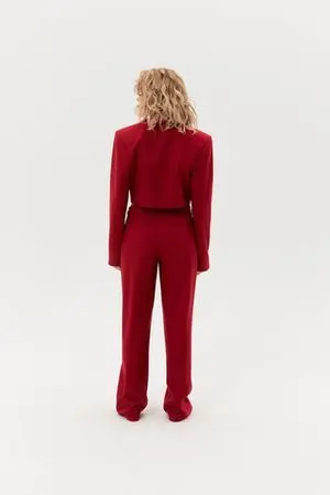 Брюки (Money Magnet suit), красные Брюки (Money Magnet suit), красные