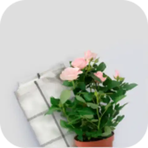 Декор для дома