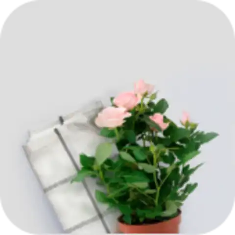 Декор для дома