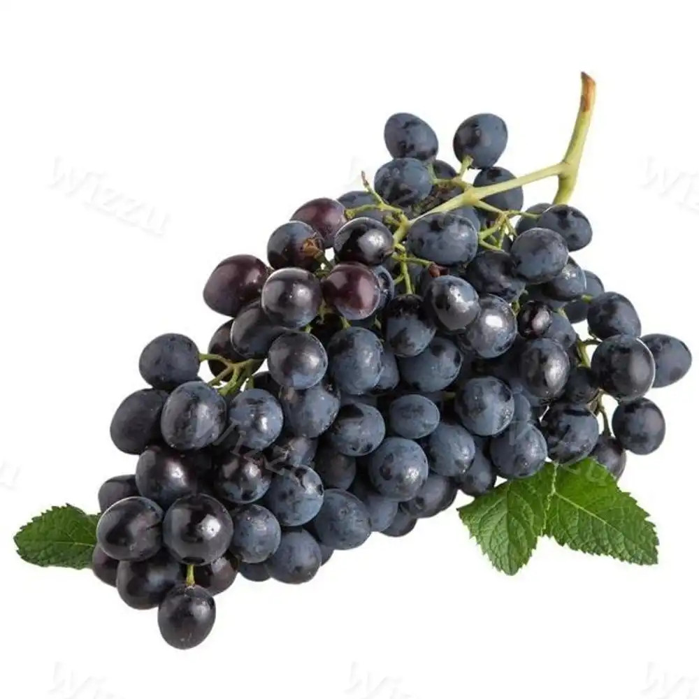 Виноград Черный