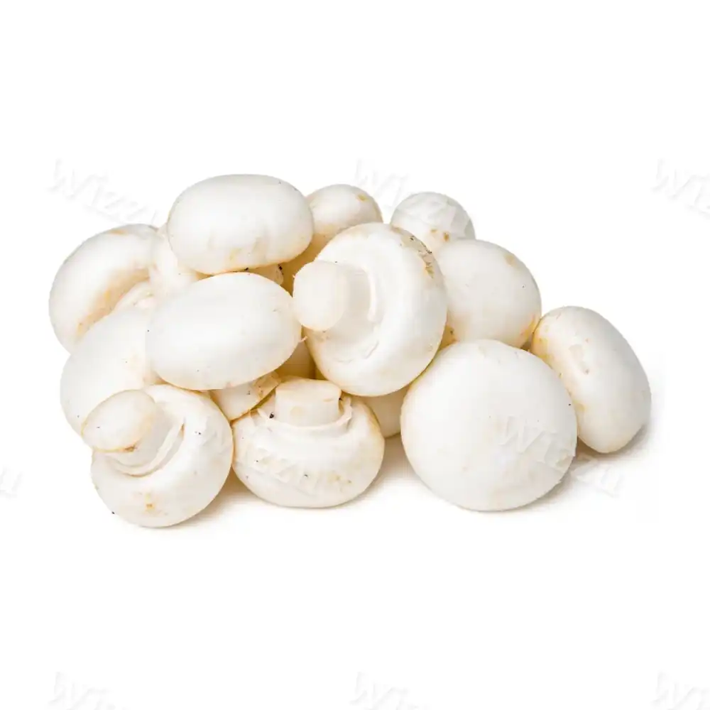 Грибы "Шампиньоны"