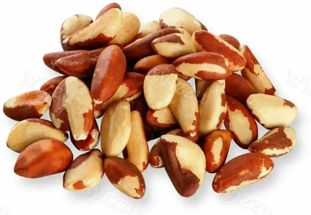 Бразильский орех вес