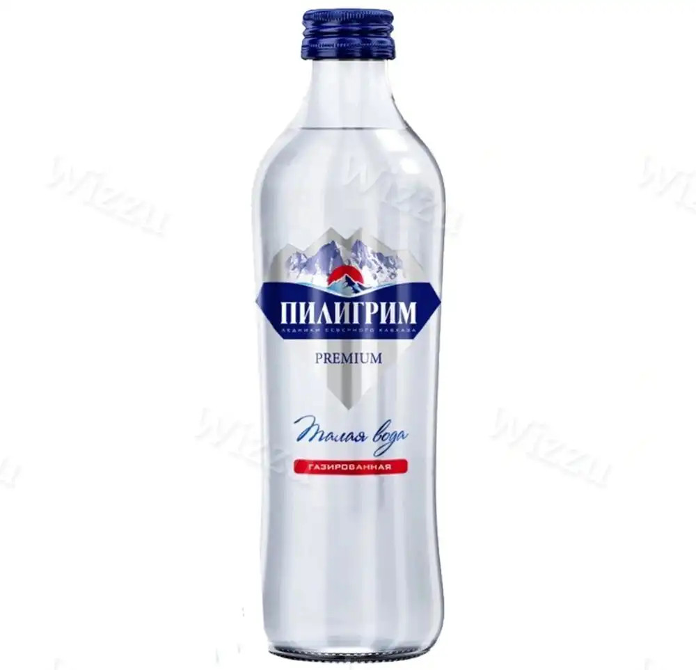Вода "Пилигрим" Премиум стекло газ. 0,33л