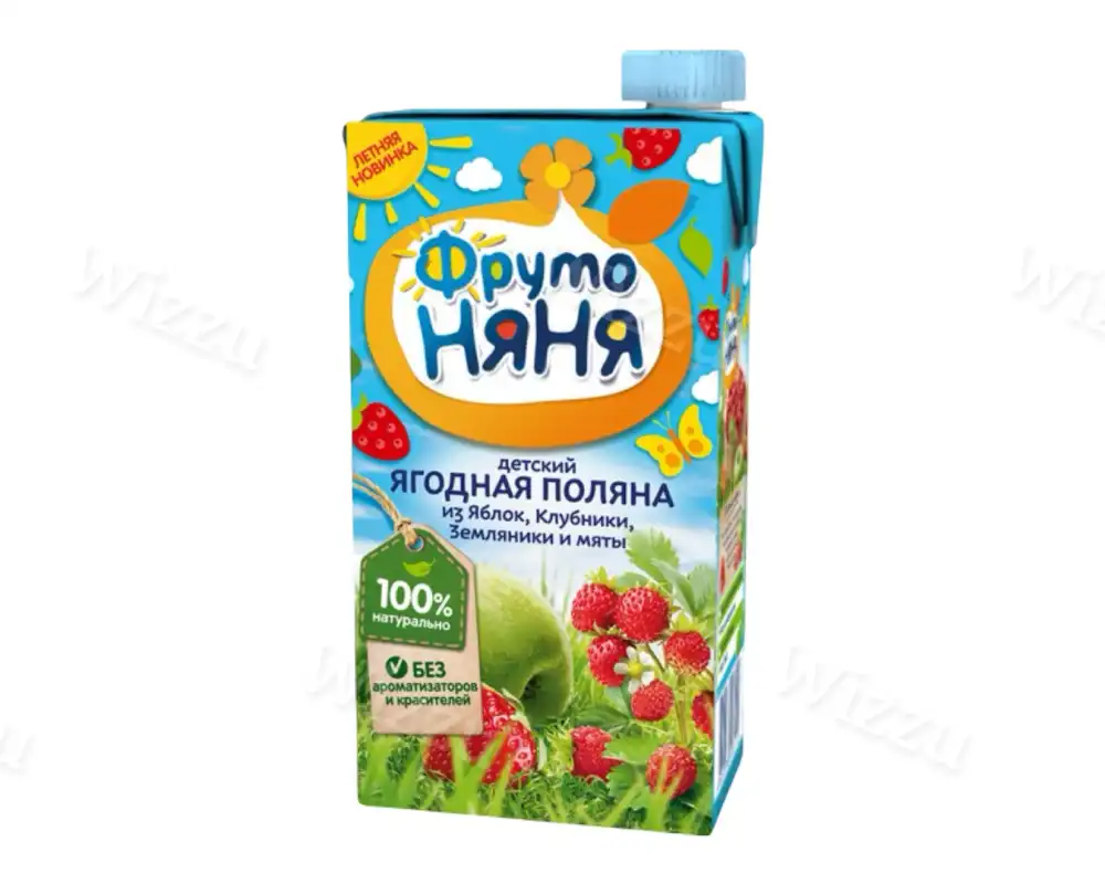 Напиток "ФрутоНяня" из смеси фрукт/ягод с экстракт мяты 200мл, шт