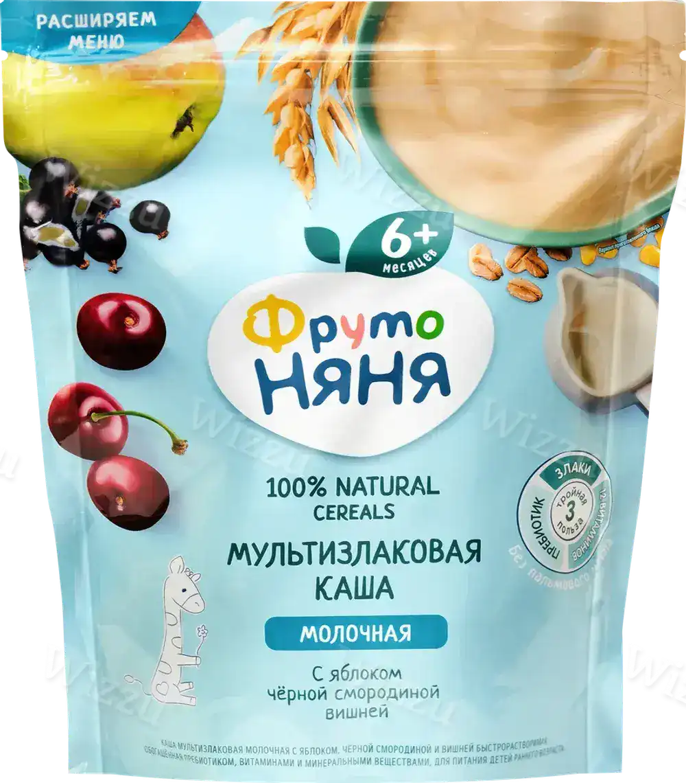 Каша ФрутоНяня мол. мультизлаковая яблоко-черн.смородинай-вишня 200г