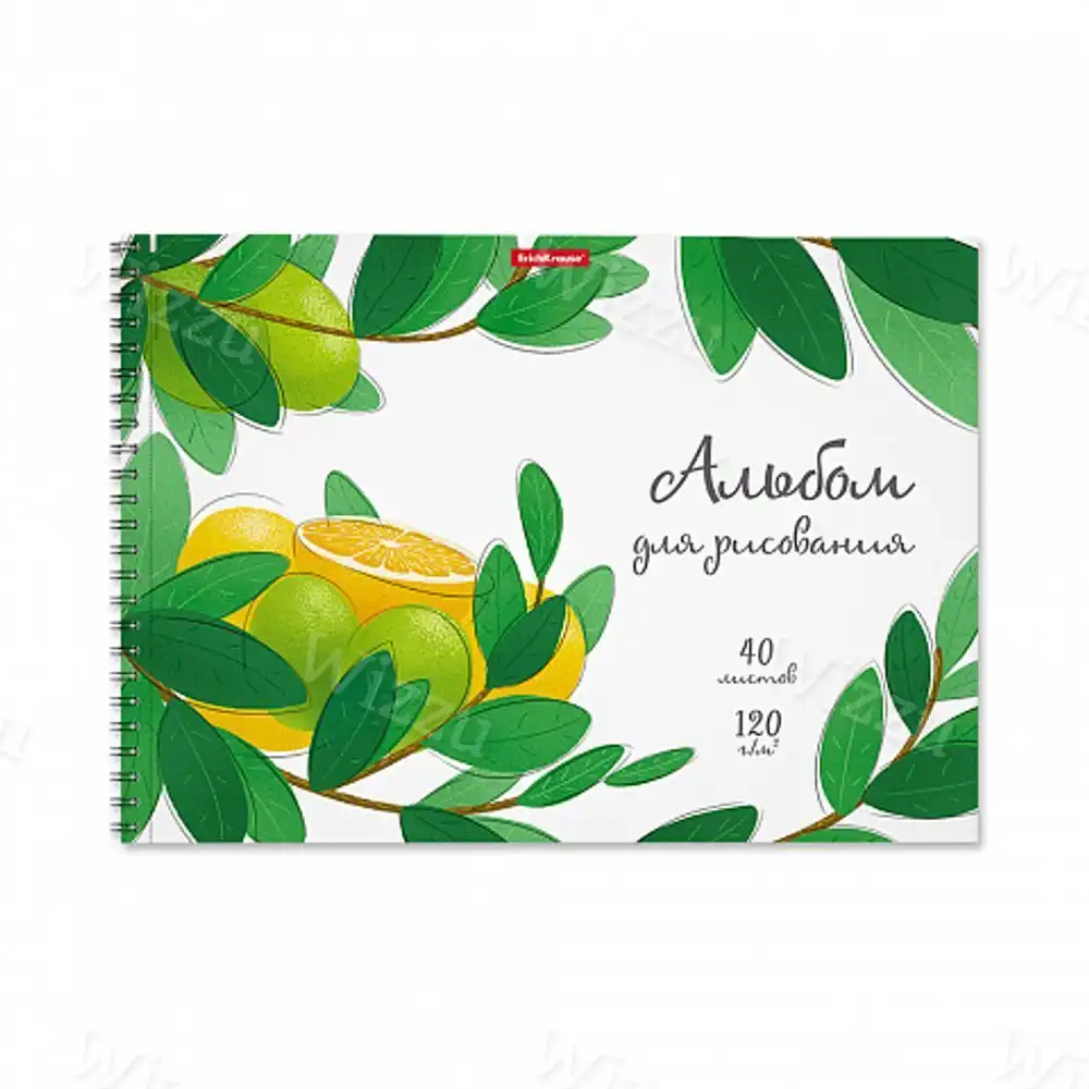 Альбом для рисования на спирали ErichKrause Juicy Fruits 40 листов