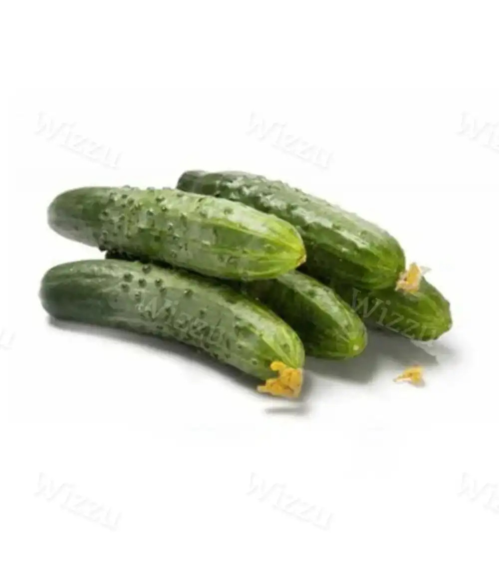 Огурец "Эстафета"