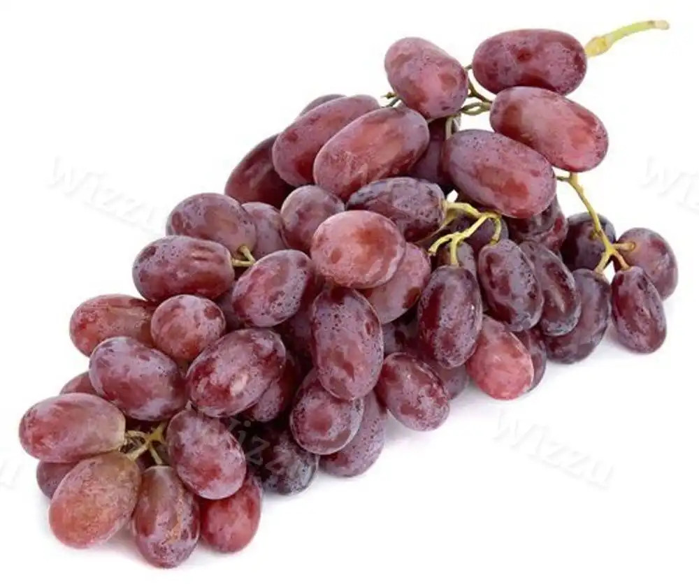 Виноград Красный
