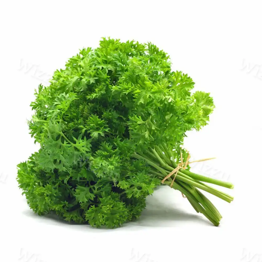 Петрушка "Кудряшка" шт