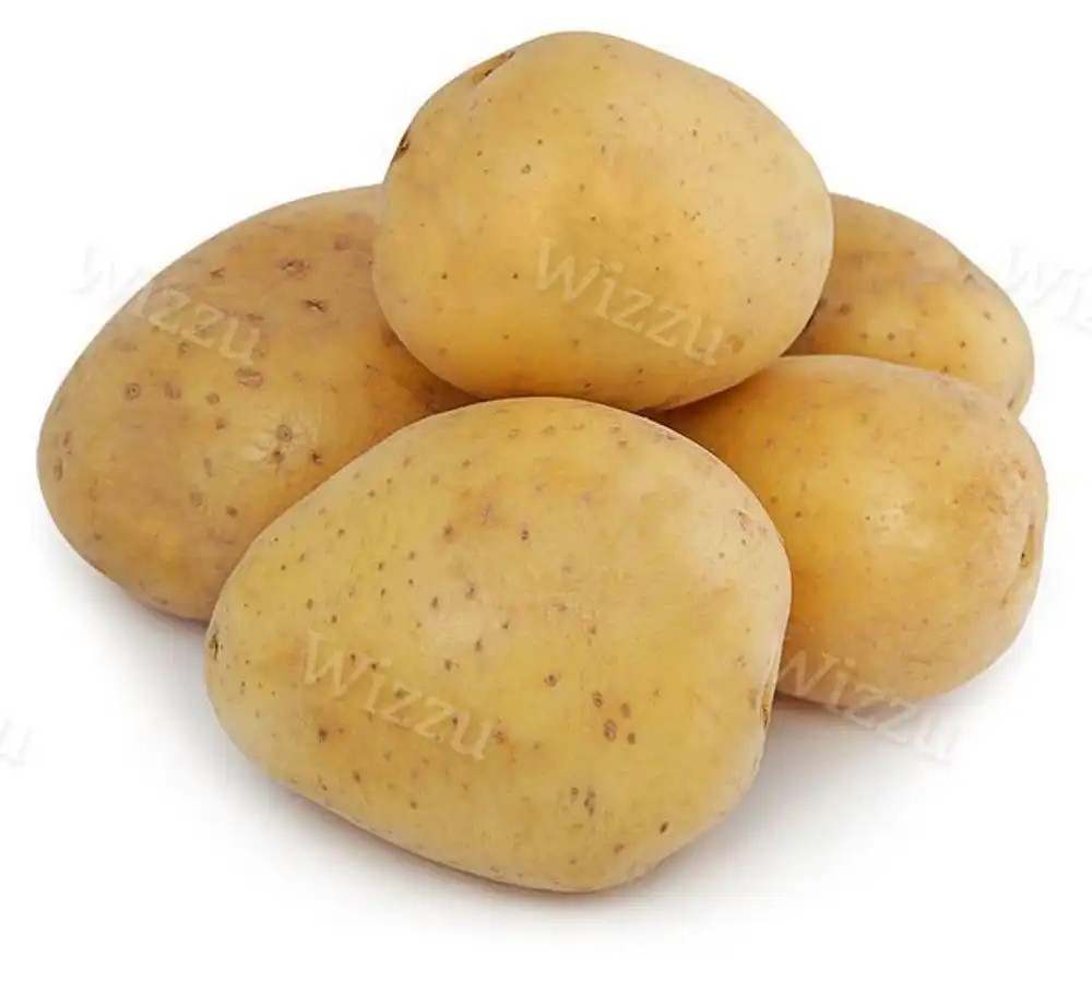 Картофель Белый